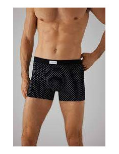 BOXER YSABEL  MORA NEGRO...
