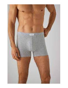 BOXER  YSABEL   MORA  GRIS...